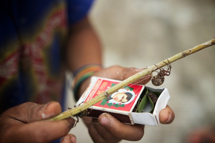 spider-fighting-matchbox