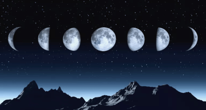 Internet Sausage Links