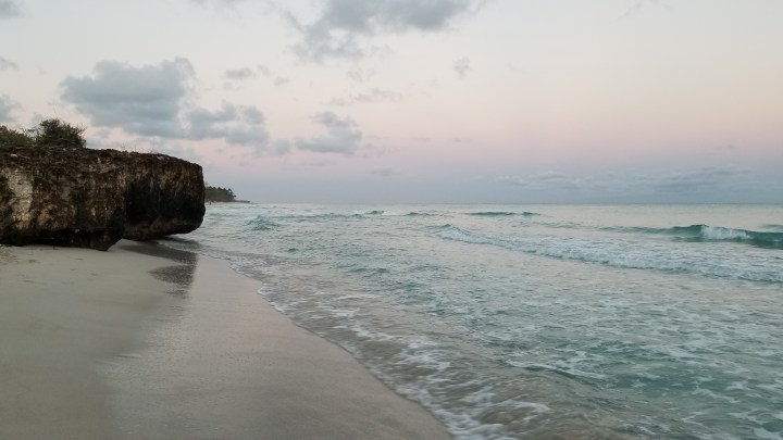 Campañerang Cuba Goes&nbsp;Home